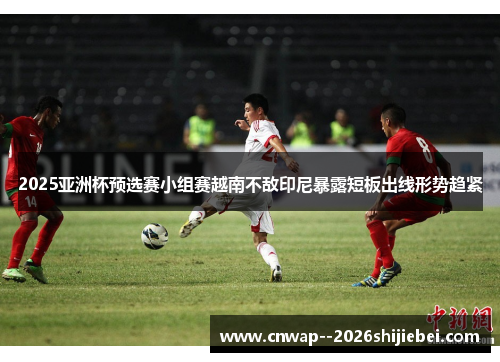 2025亚洲杯预选赛小组赛越南不敌印尼暴露短板出线形势趋紧 2025亚洲杯预选赛小组赛越南不敌印尼暴露短板出线形势趋紧