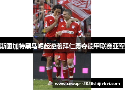 斯图加特黑马崛起逆袭拜仁勇夺德甲联赛亚军 斯图加特黑马崛起逆袭拜仁勇夺德甲联赛亚军