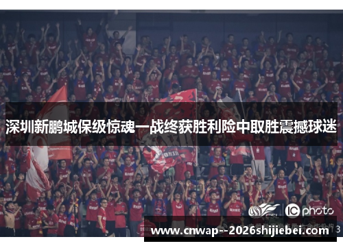 深圳新鹏城保级惊魂一战终获胜利险中取胜震撼球迷 深圳新鹏城保级惊魂一战终获胜利险中取胜震撼球迷